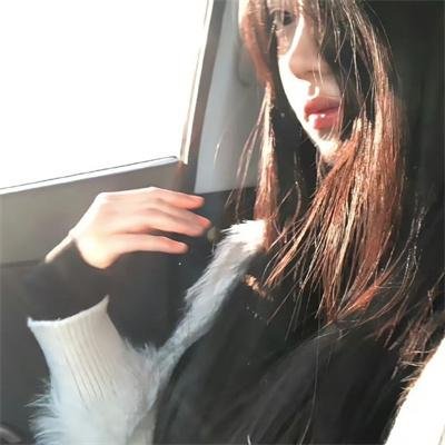 鱼与猫